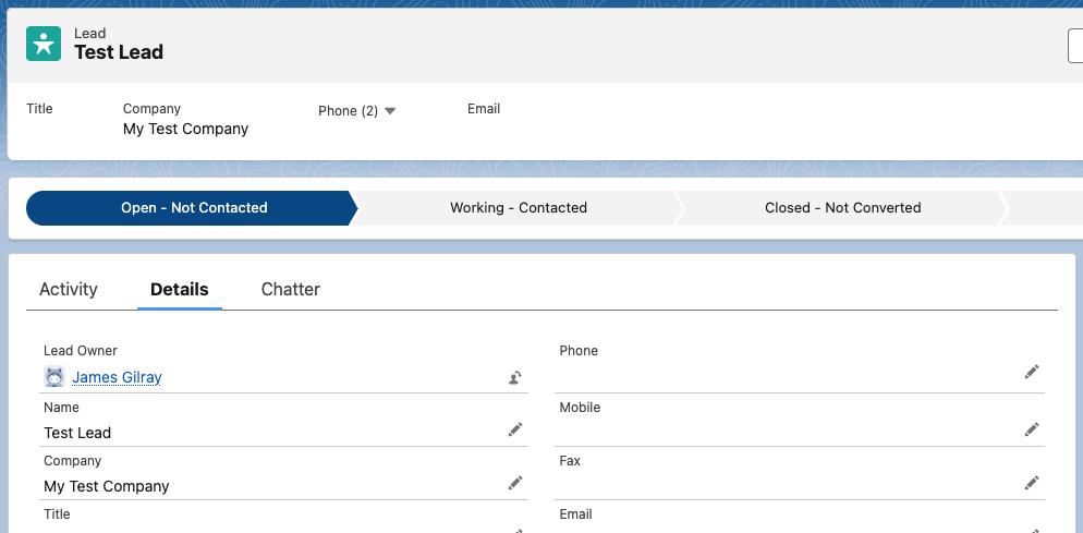 Salesforce lead record showing the required Company field
